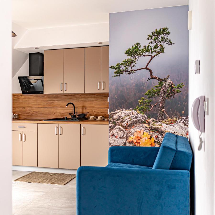 Velo Apartamenty Чорштин Екстер'єр фото